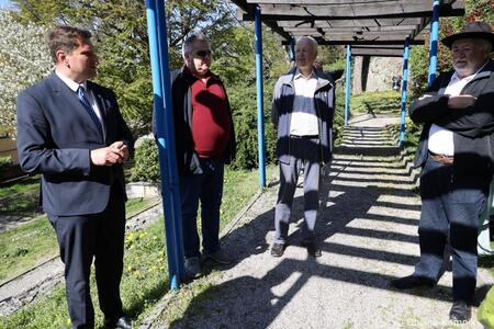 Rez kamniške trte, ki je potomka najstarejše vinske trte na svetu (2)